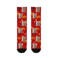 Custom Haunted Pet Halloween Socks