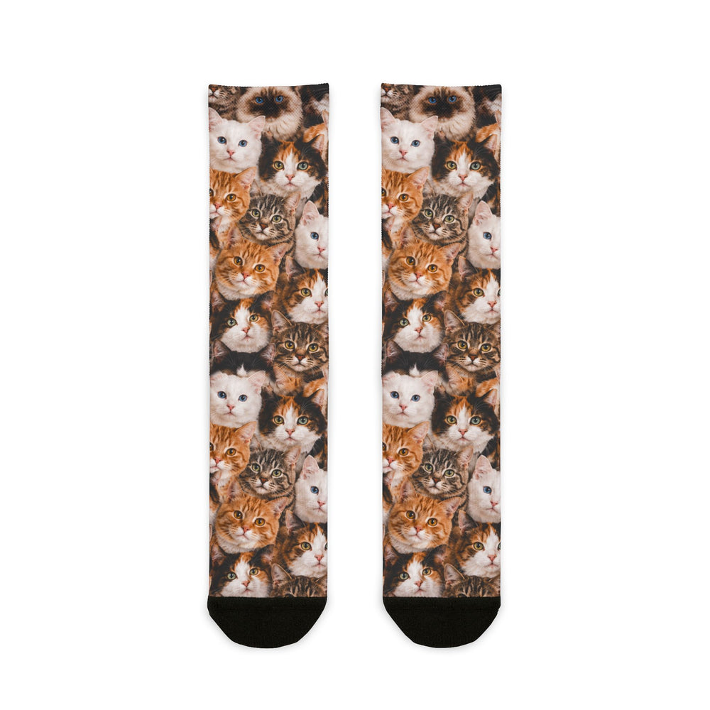 Custom Cat Socks