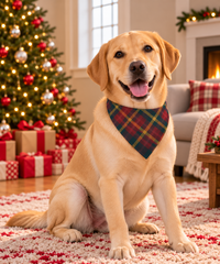 Plaid Green Red Christmas Pet Bandana