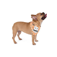 Custom Kawaii Ghost Halloween Bandana