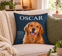 Holiday throw pillow  6