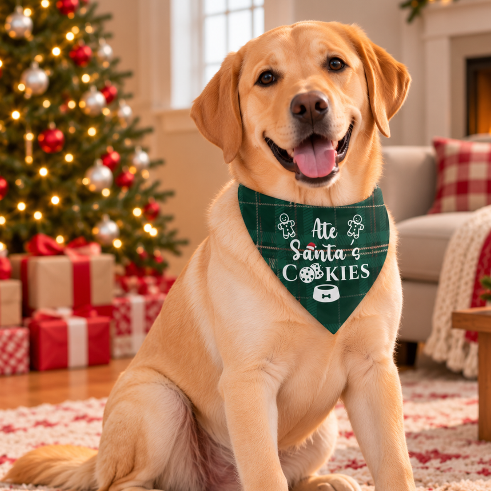 Ate Santa's Cookies Christmas Dog Bandana