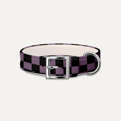 Check Pattern Halloween Dog Collar