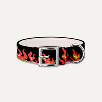 Black Wicked Fire Halloween Dog Collar