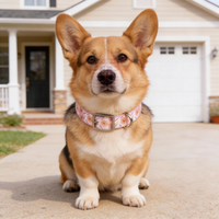 Bloom Belle Pups Dog Collar