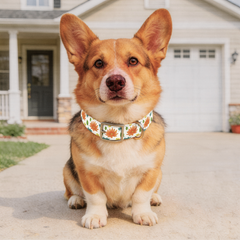 Autumn Pups Dog Collar