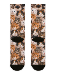 Custom Cat Socks