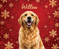 Custom Pet Christmas Blanket
