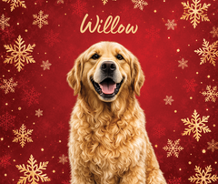 Custom Pet Christmas Blanket