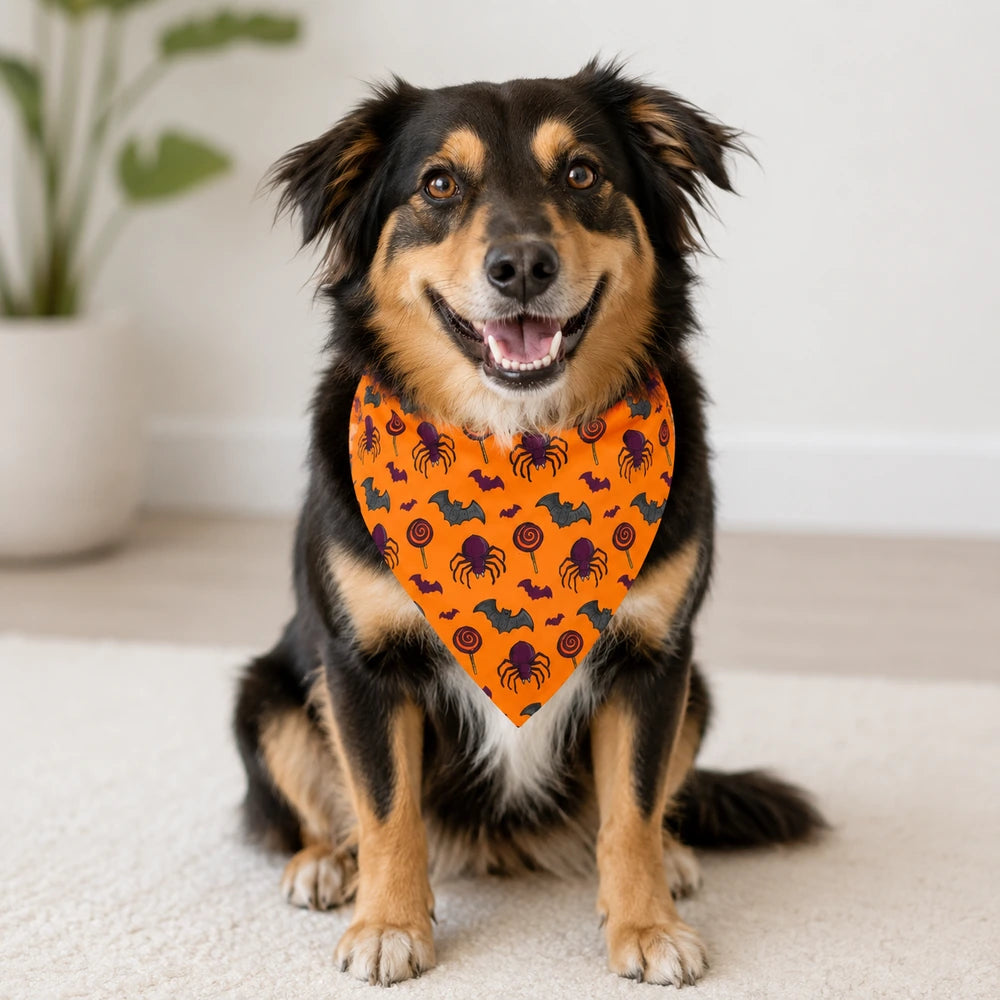 Spooky Spider Halloween Bandana