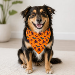 Spooky Spider Halloween Bandana